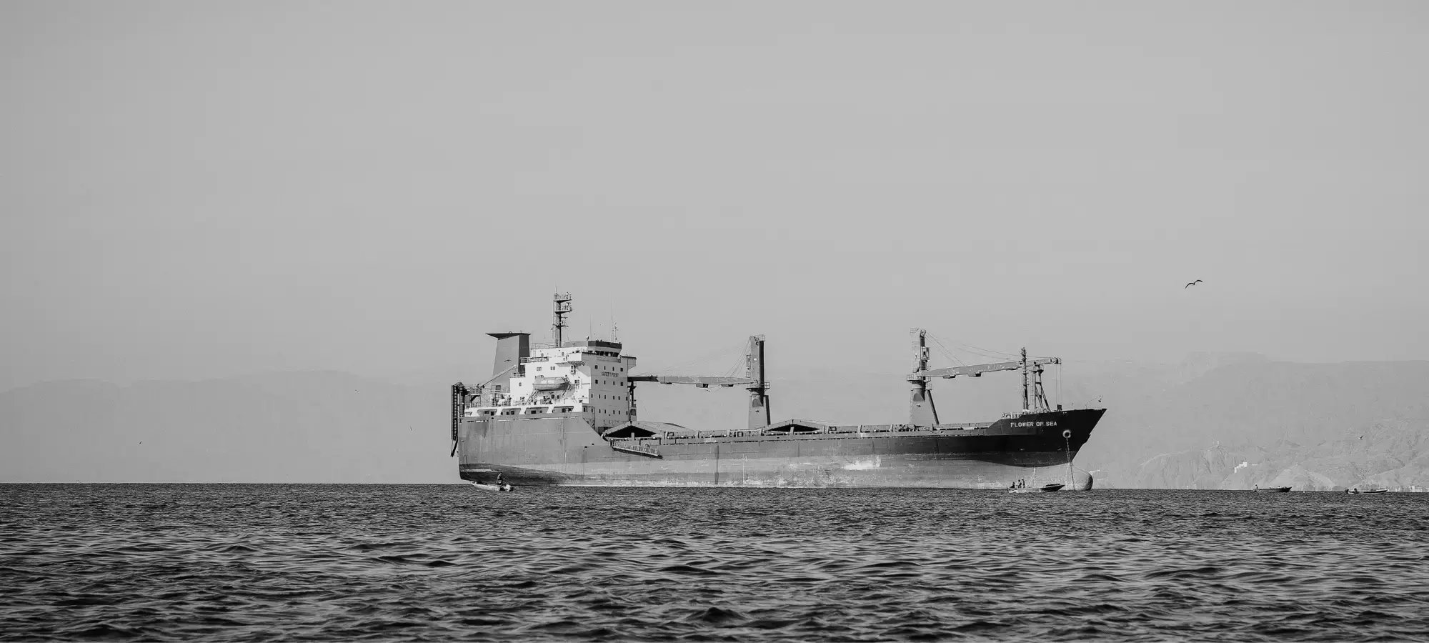 20260407 how australasian leaders build operating resilience in volatile markets blog