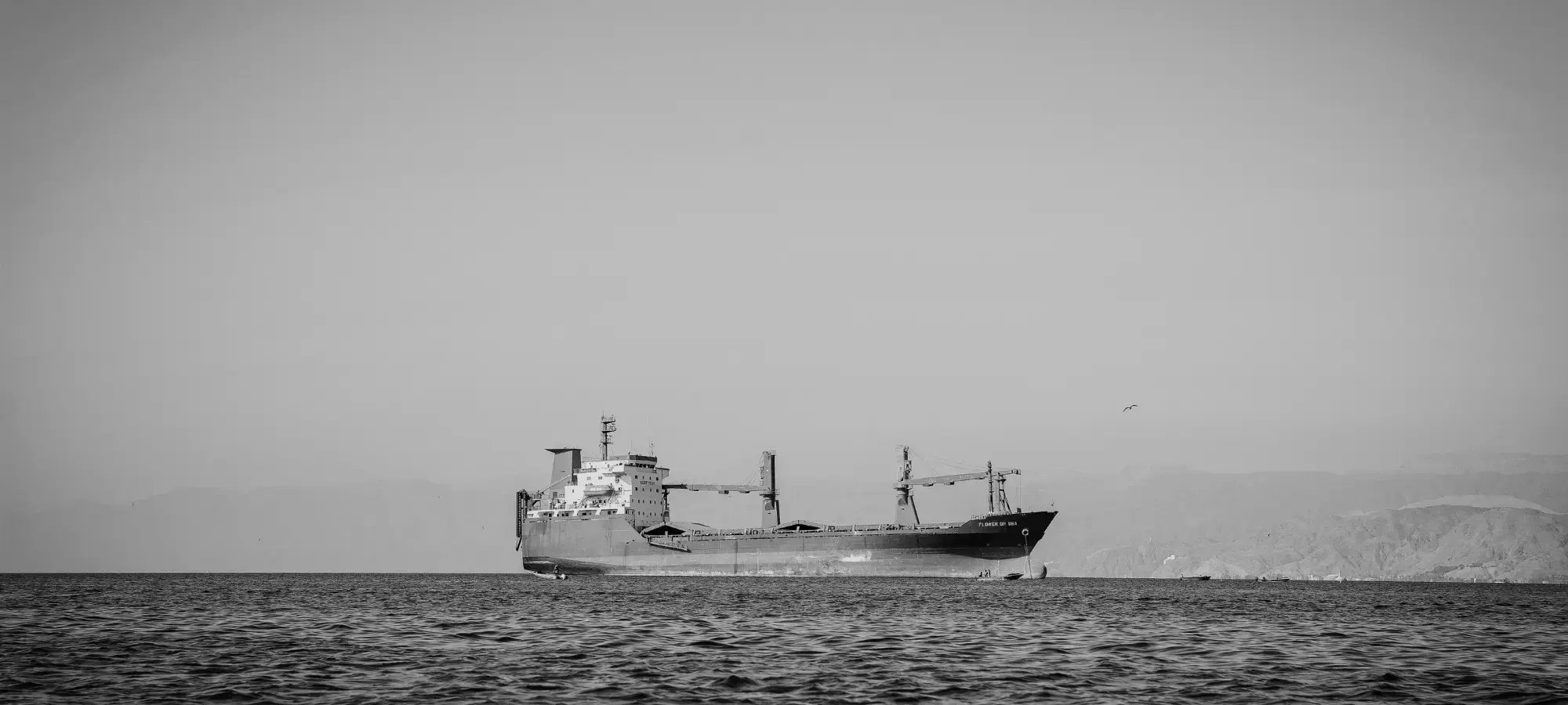 20260407 how australasian leaders build operating resilience in volatile markets