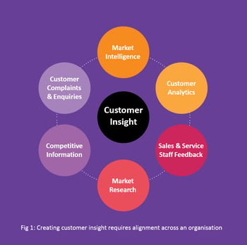 Customer Insight circle visualisation