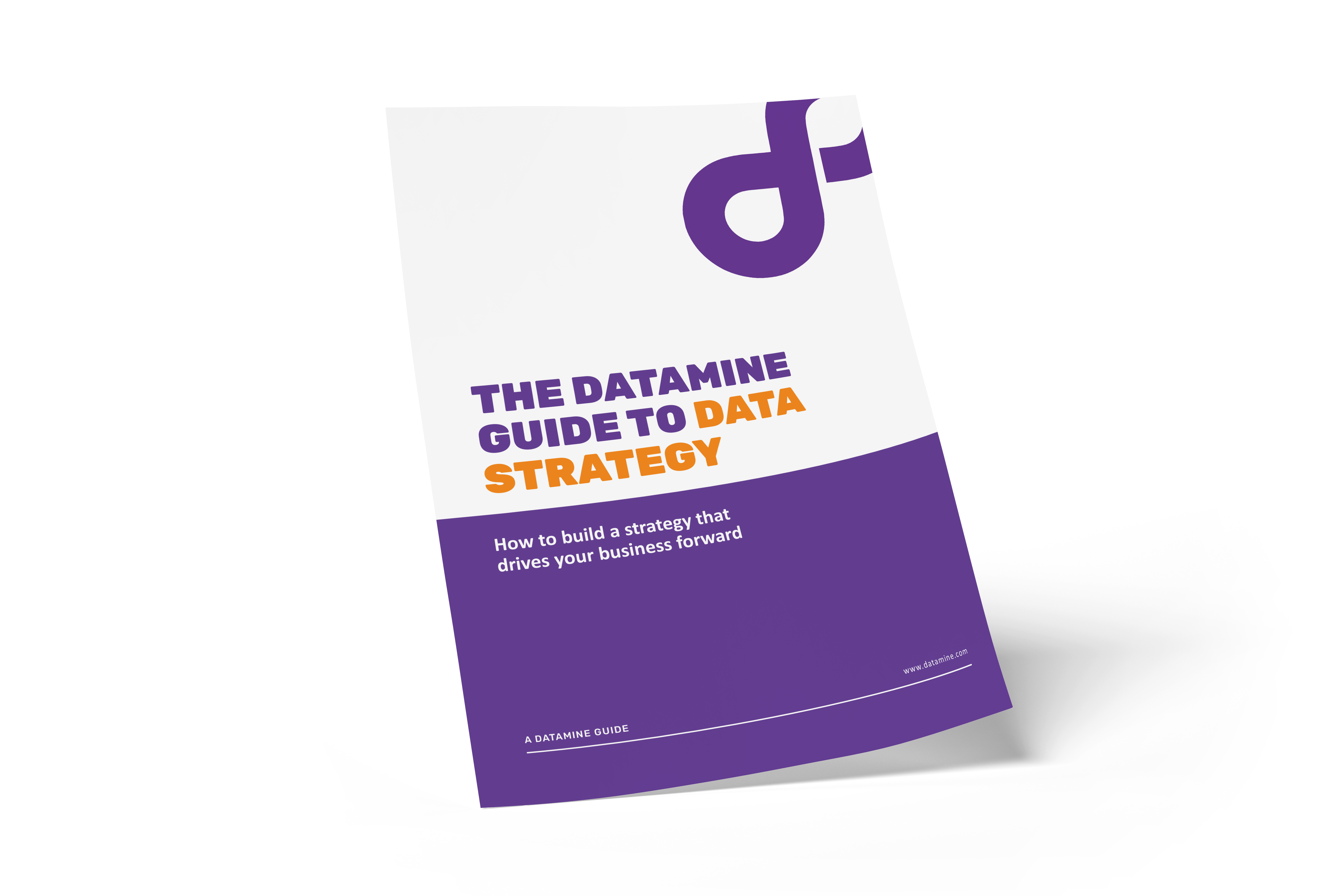 Data Strategy Guide