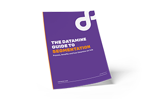 Datamine Guide to Customer Segmentation thumbnail-1