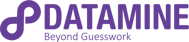 Datamine Logo "Beyond Guesswork"