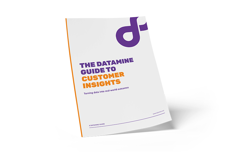 Datamine-CustomerInsights-Cover sml