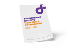 Datamine_Guide_WorkforceOptimsation_image