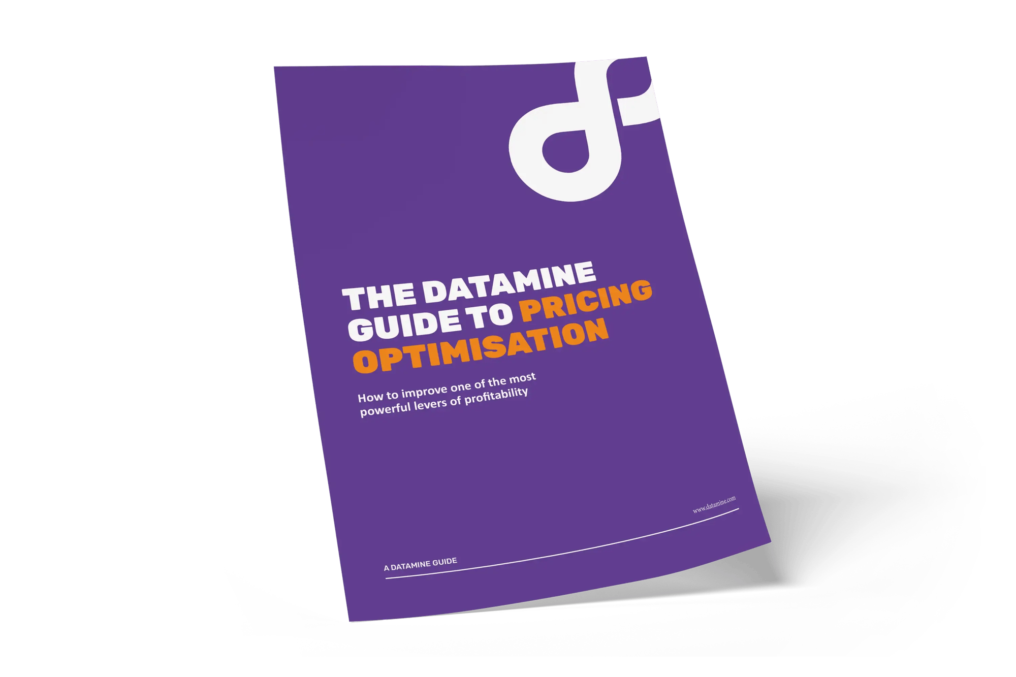 Guide_PricingOptimisation_Datamine_mockup