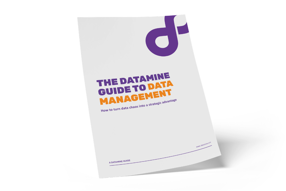 Datamine Data Management Guide 1000 x 667