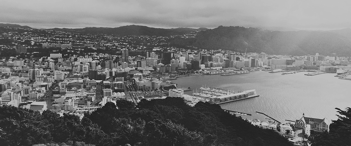 top wellington 2018 view from mount victoria harbour