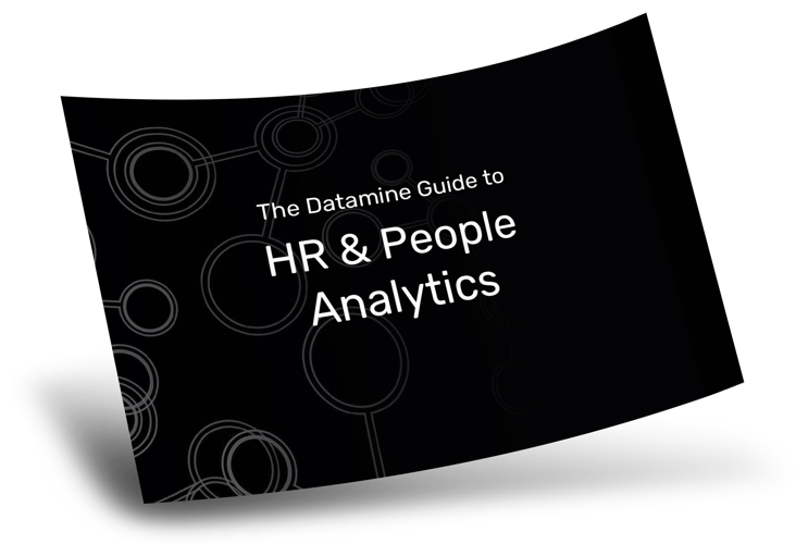 Datamine Guides - Data management, customer insights, AI and more