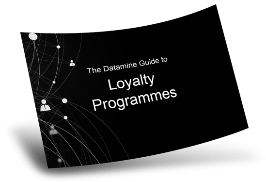 Datamine Guides - Data management, customer insights, AI and more