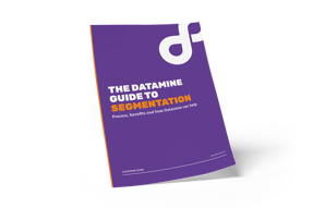 www.datamine.comhubfsDatamine Guide PDFsDatamine Guide to Customer Segmentation cover web