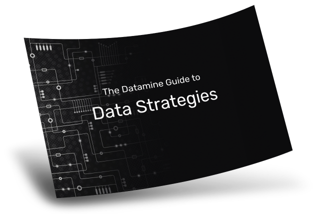 data-strategies-cover